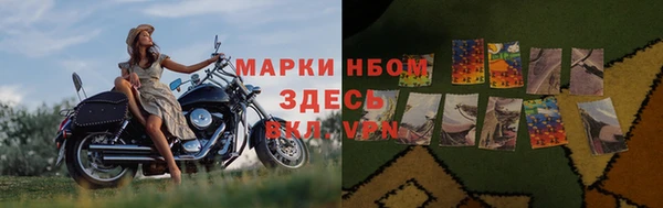 молекула духа Нязепетровск