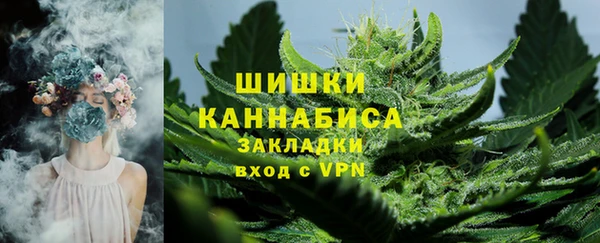 молекула духа Нязепетровск