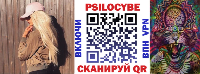 Псилоцибиновые грибы Cubensis  Тутаев 